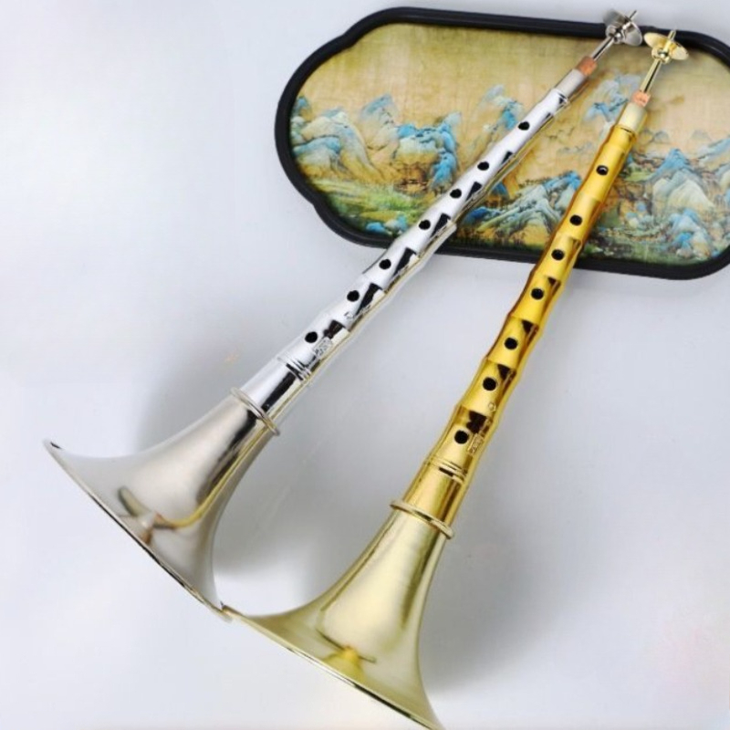 Bagpipe Practice Chanter - ABS Resin Suona D Key Chinese
