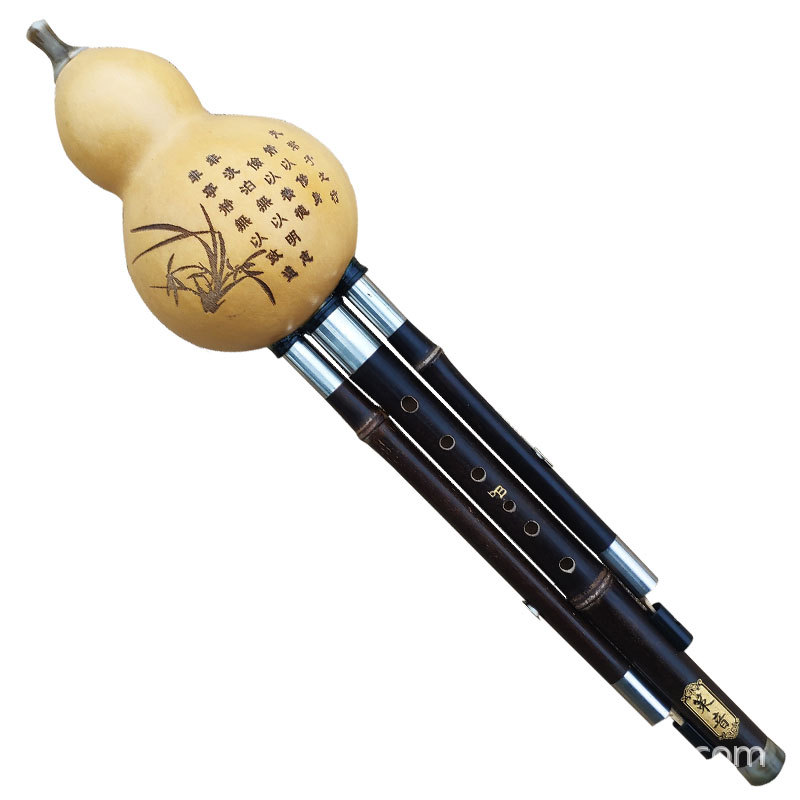 Black Bamboo Flute Hulusi Dual - Bagpipe Practice Chanter review and price