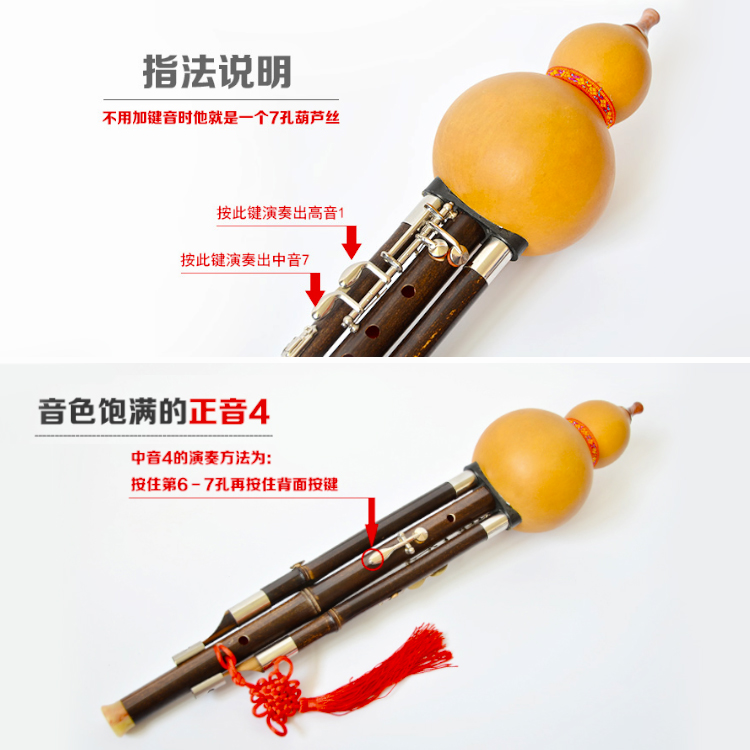 New Keyed Hulusi Professional  - Bagpipe Practice Chanter review and price