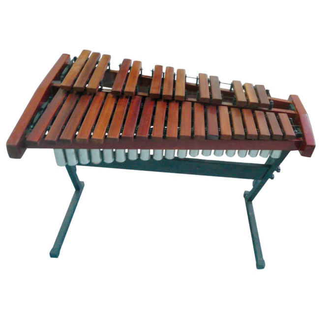 32 Tones Professional Xylophon - Musical Instrument Xylophone review and price
