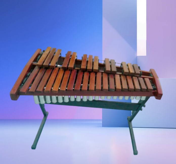 32 Tones Professional Xylophon - Musical Instrument Xylophone review and price
