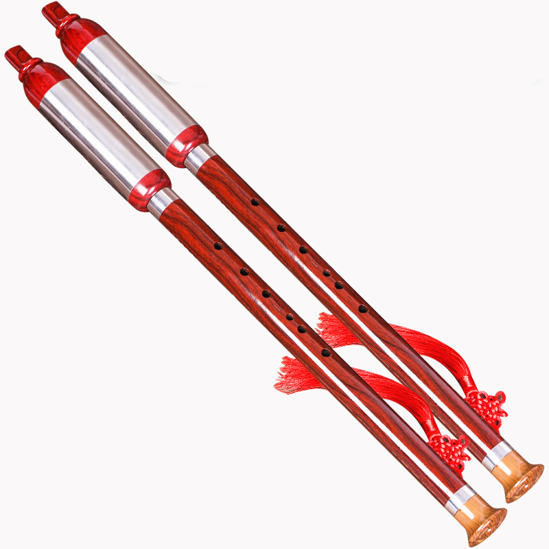 Vertical Playing Bawu Flute F/ - Bagpipe Practice Chanter review and price
