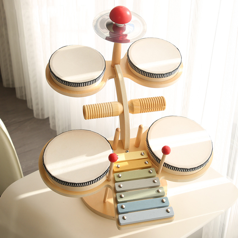 Montessori Educational Toys Wo - Musical Instrument Xylophone review and price
