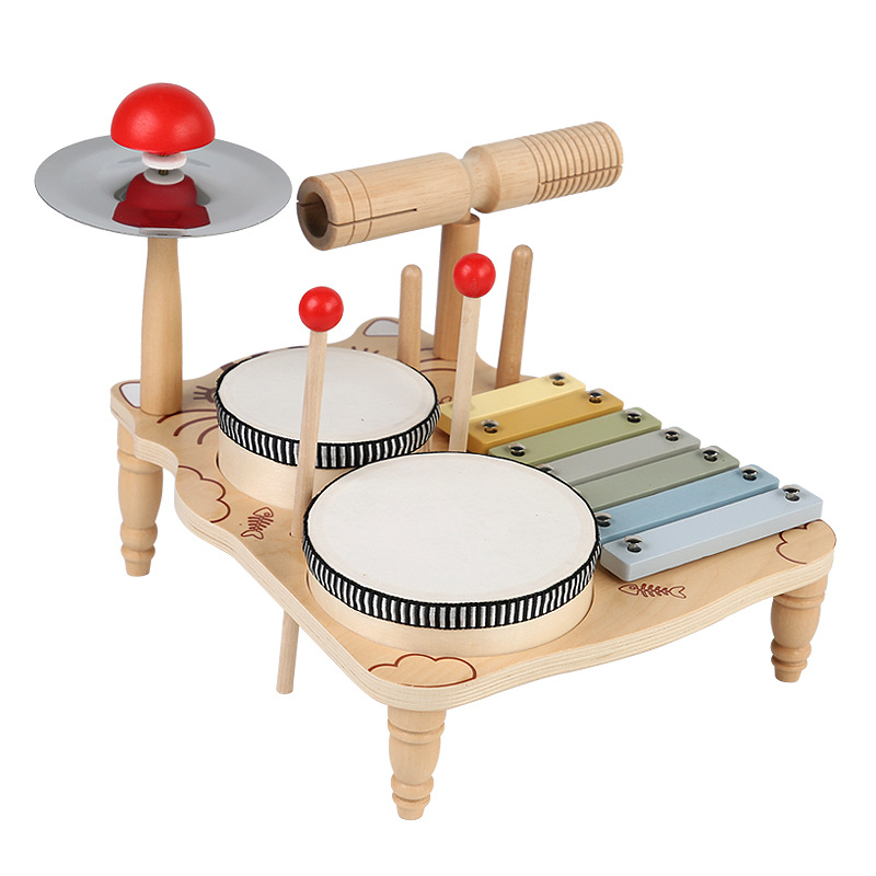 Montessori Educational Toys Wo - Musical Instrument Xylophone review and price