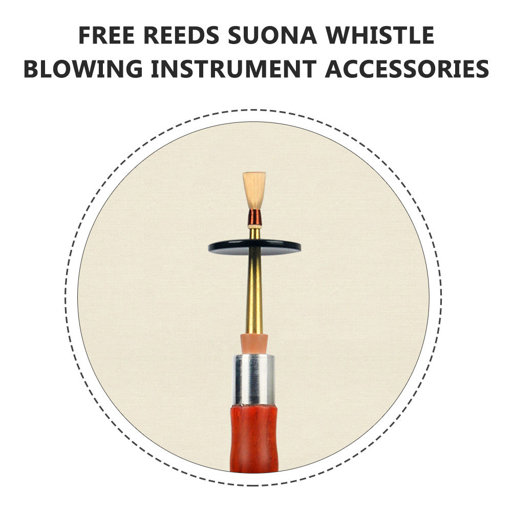 4Pcs Suona Reeds Creative Wire - Bagpipe Practice Chanter review and price