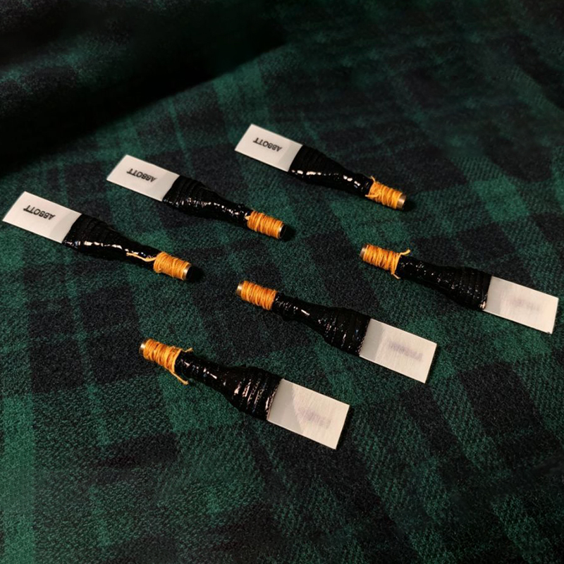 Bagpipe Practice Chanter Reed  - Bagpipe Practice Chanter review and price